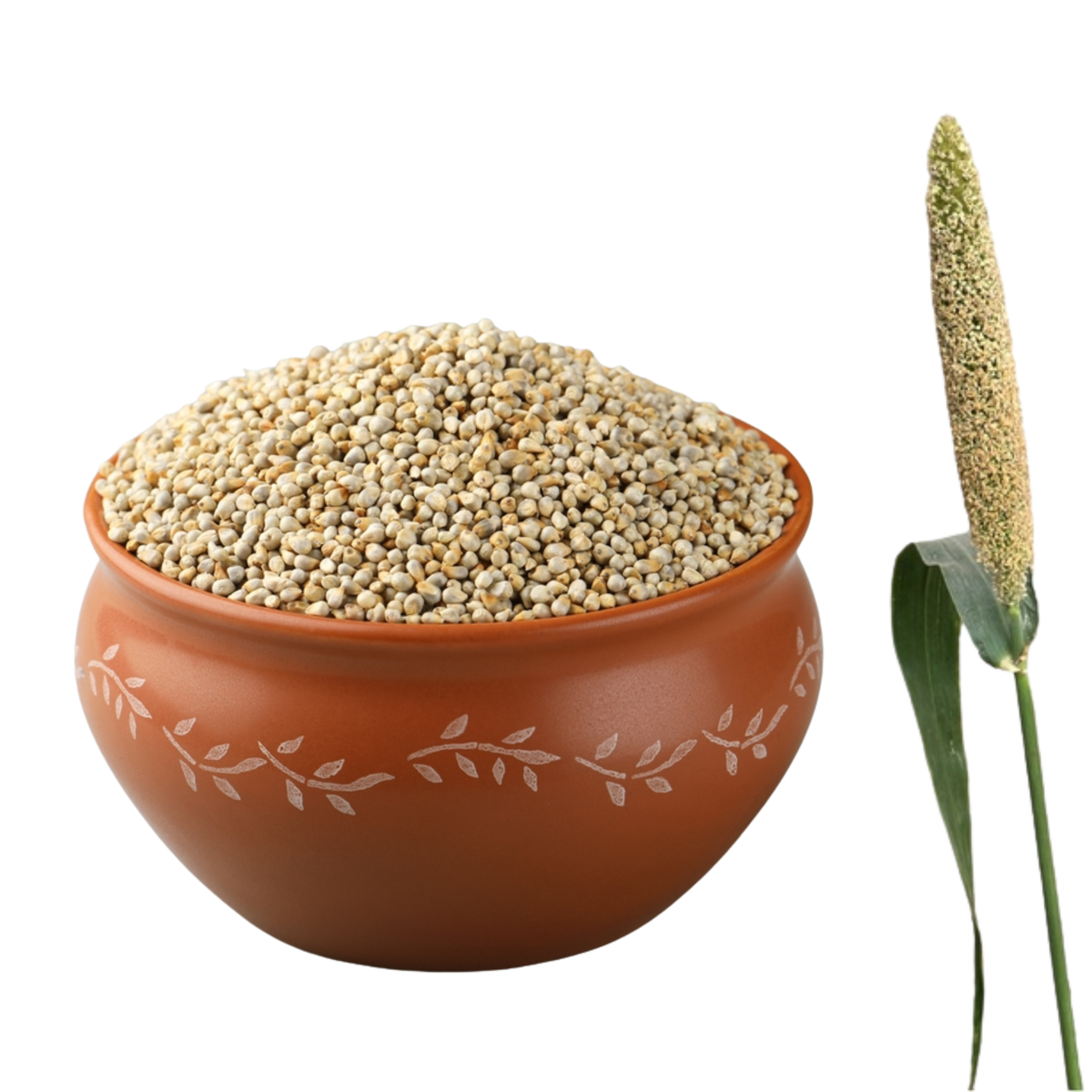 Bajra (Pearl Millet)
