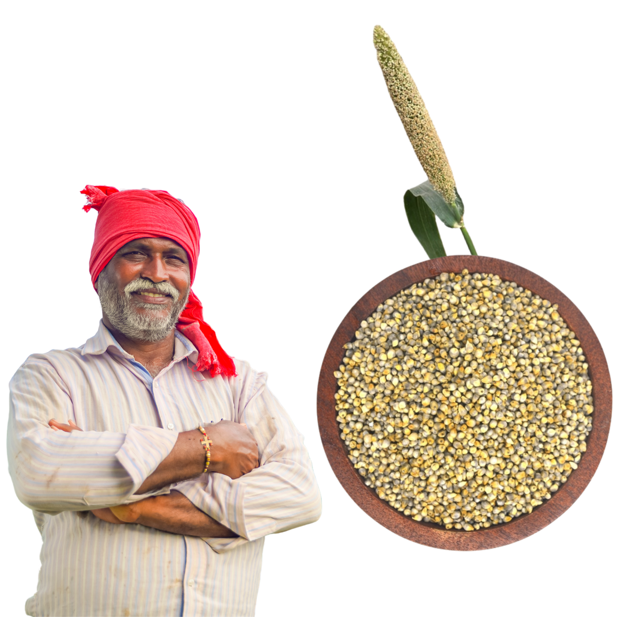 Bajra (Pearl Millet)