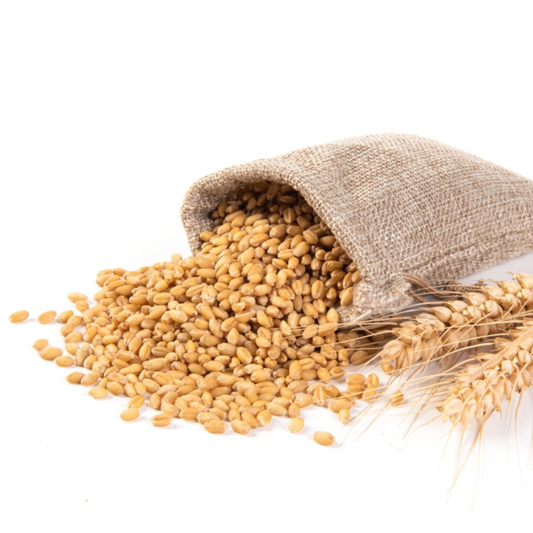 Bansi Wheat (Bansi Gehu)