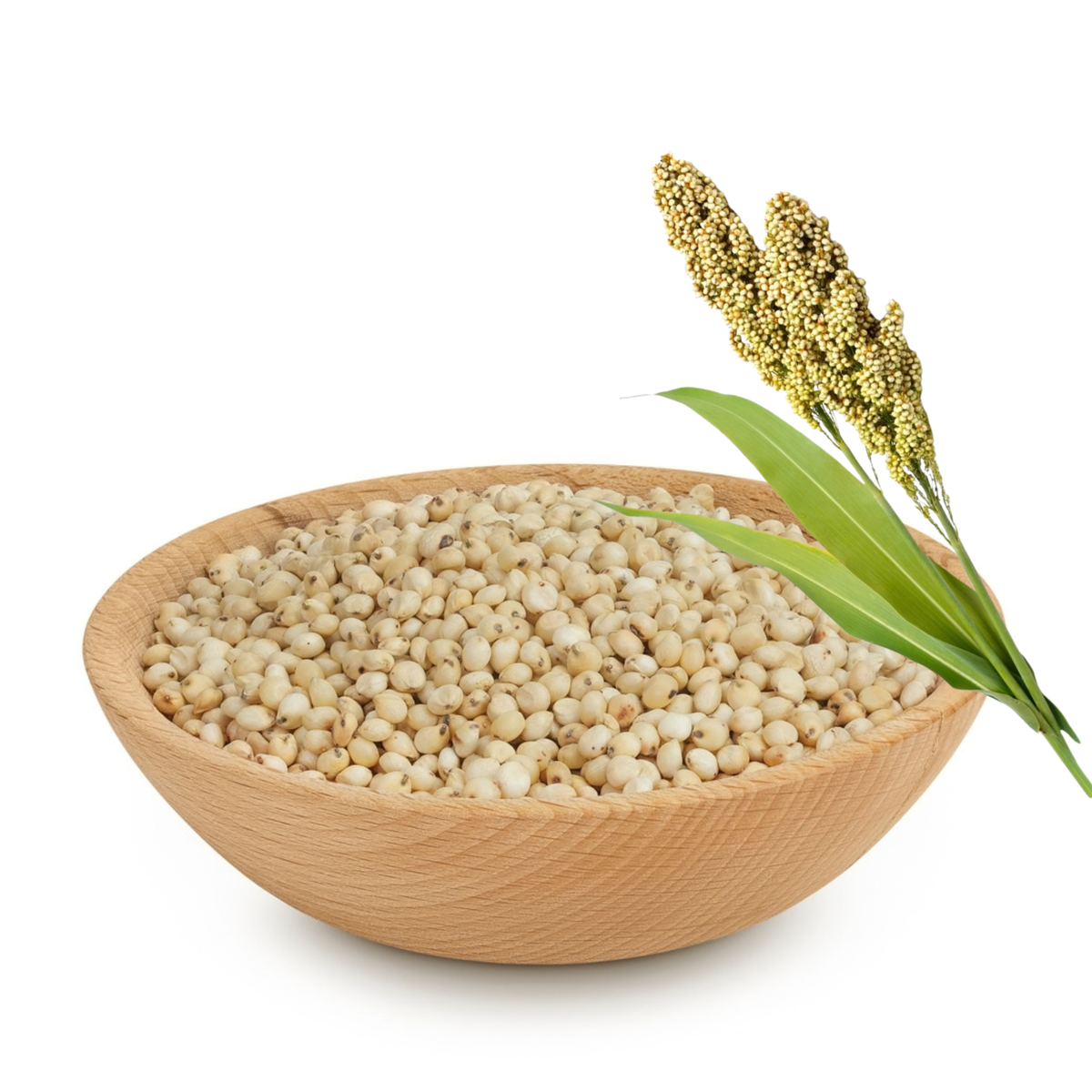 Jowar Whole