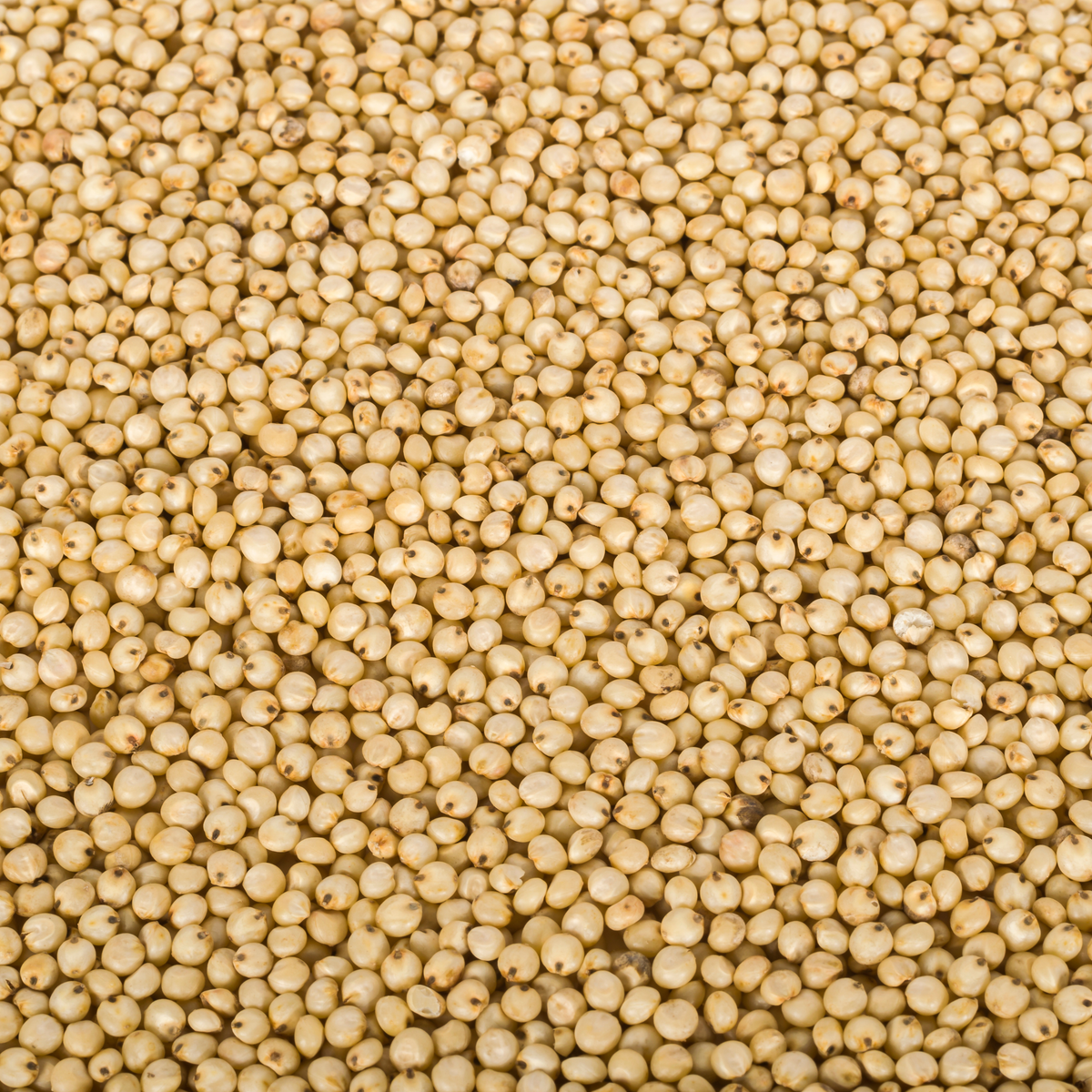 Jowar Whole