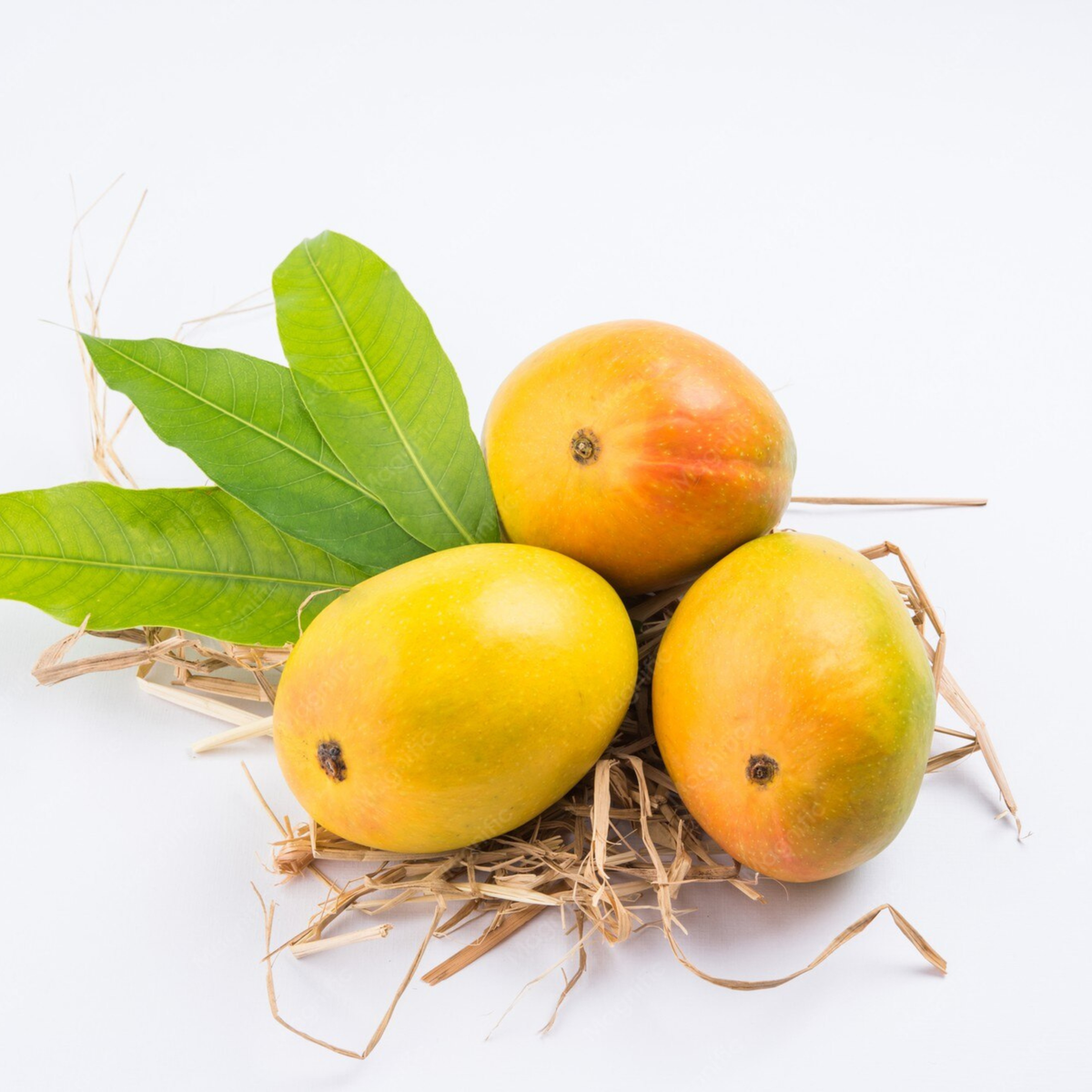Kesar Mango