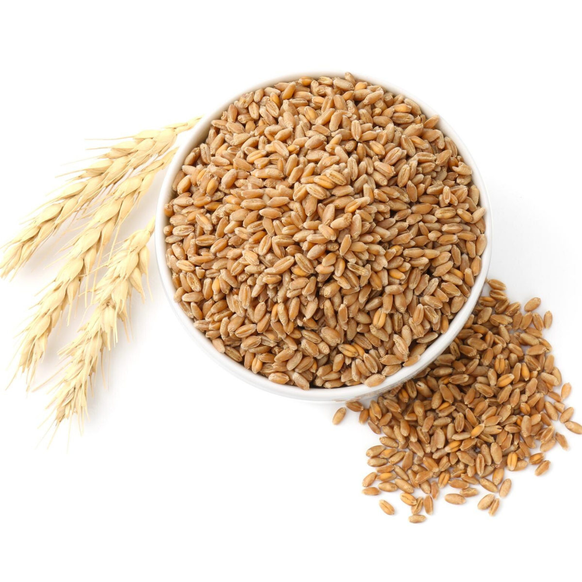 Khapli Wheat (Khapli Gehu)