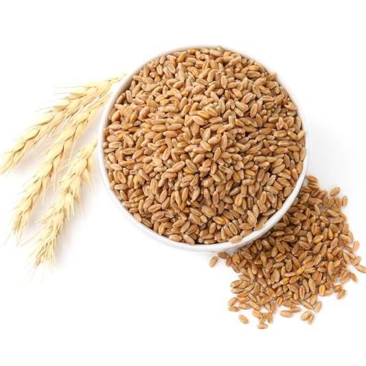 Khapli Wheat (Khapli Gehu)