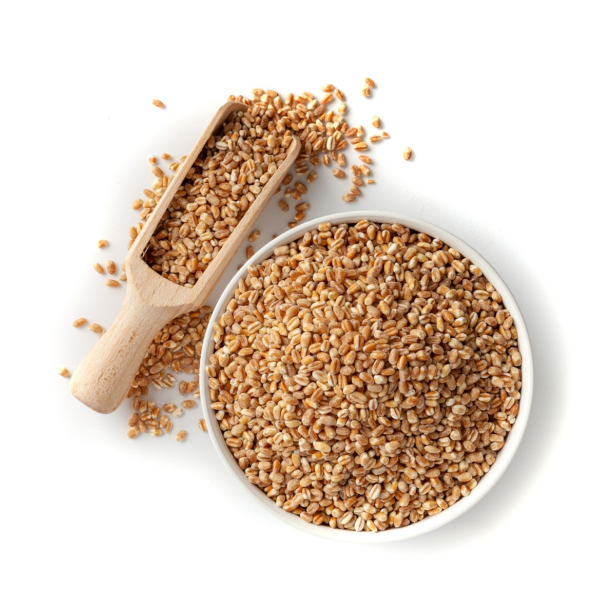 Sinhore Wheat (Sinhore Gehu)
