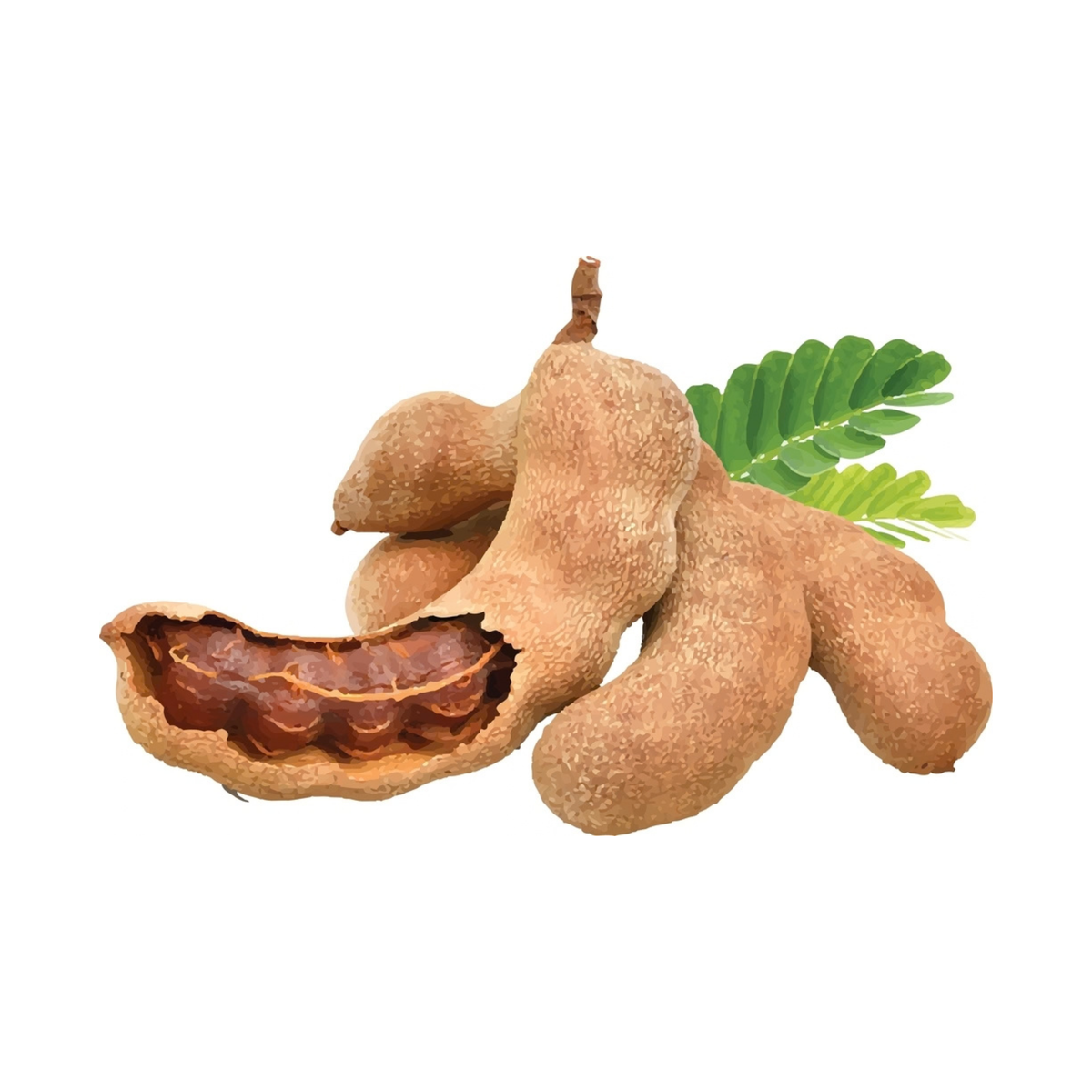 Tamarind / Chinch: