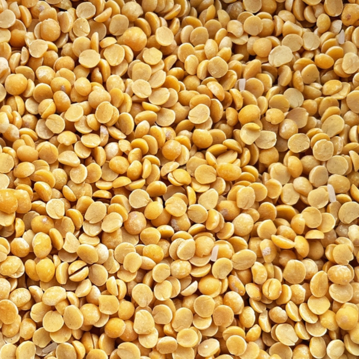 Toor Dal (Pigeon Peas) – Unpolished & Protein Rich